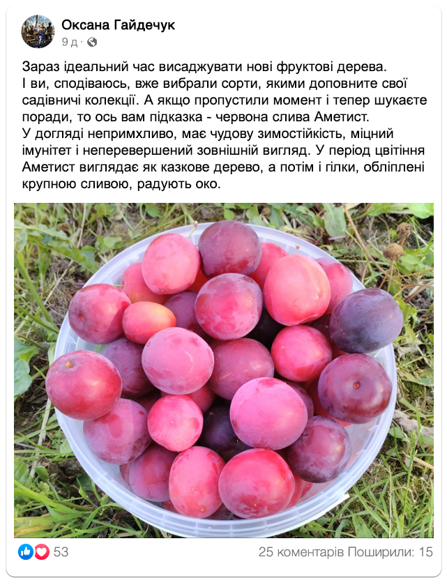 Заголовок